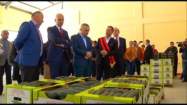 Edmond Panariti Ne Qendren E Grumbullimit Ne Cerrik