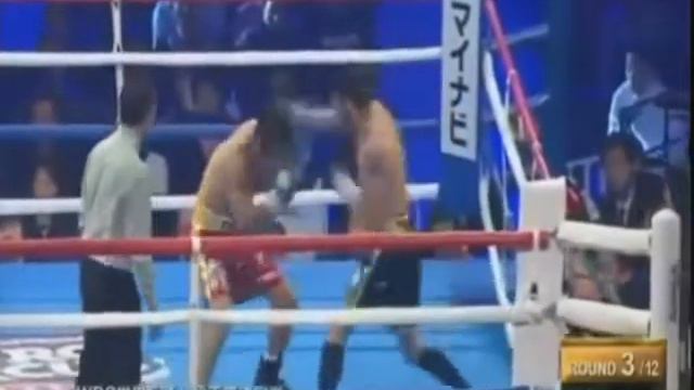 Jorge Linares Vs Javier Prieto Highlights