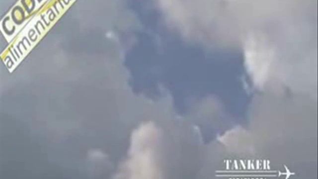 Codex Alimentarius - The Genocide Is Served... (english Sub)