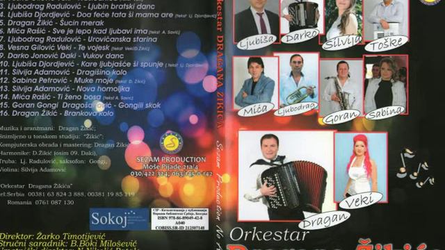 Ljubisa Djordjevic - Kare Ljubjasce Si Spunje - (Audio 2015)