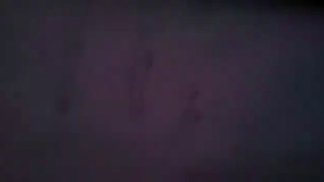 Ejercicio Del Tema Verdad O Falso(fermin Tanguis)