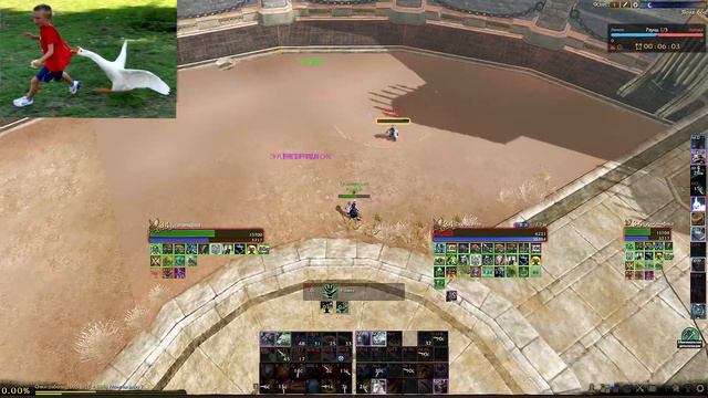 [ArcheAge 5.1] Судья с кинжалом | Blade Dancer |