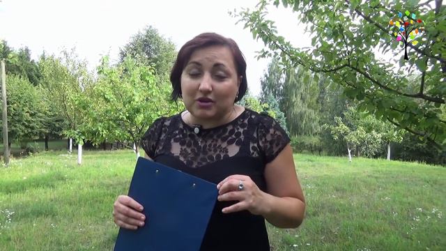 55289b057b13ab44e3ee330849a6e23d