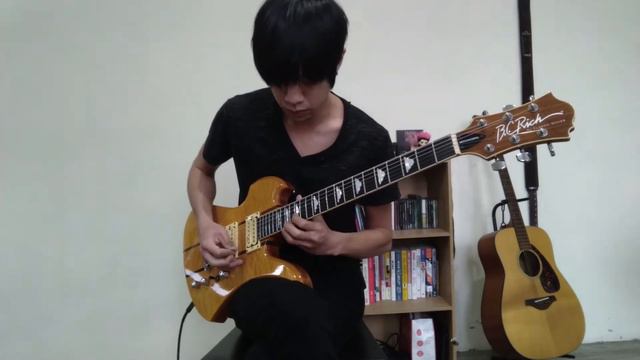 HIZAKI - Back To Nature Guitar Cover