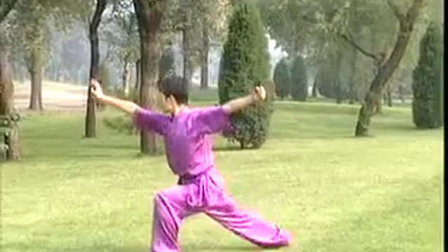 一路華拳 Yi Lu Hua Quan (First Road Of Hua Fist)