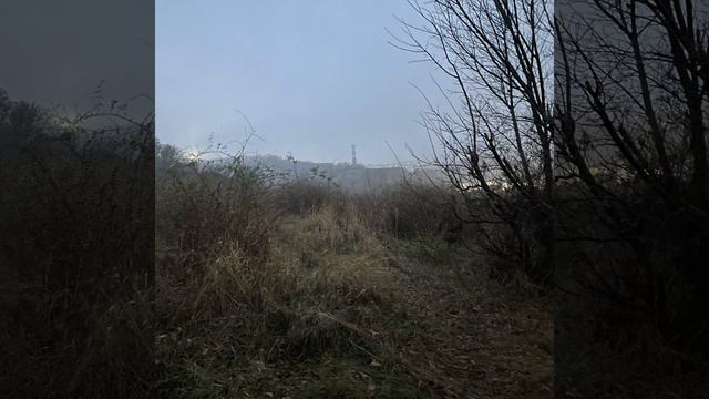 Вышел