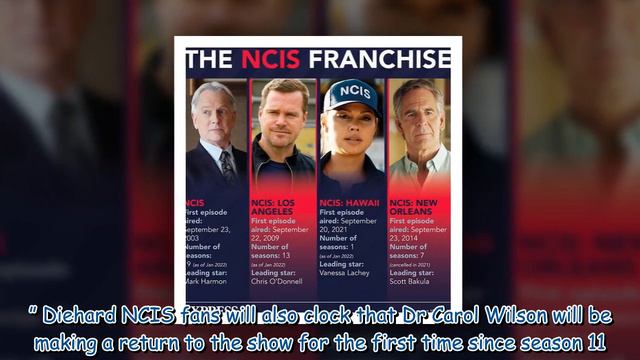 NCIS Season 19: Breena Palmer Set For Surprise Return After Huge Casting Bombshell