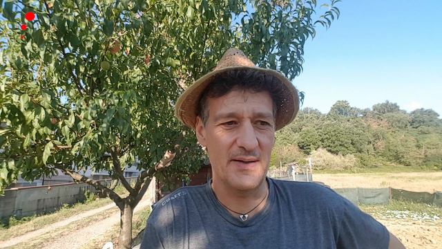 VLORTO - Il Vlog Del Mio Orto! #08