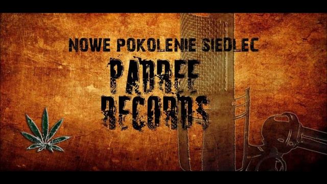 Czapi NPS X Młoda Wena X Aro X Kornel NPS - Mierze Wysoko