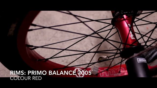 BMX Bikecheck- Timm Dauth 2018