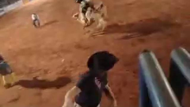 Dark Severino Vs Tigre Cia De Rodeio Jn