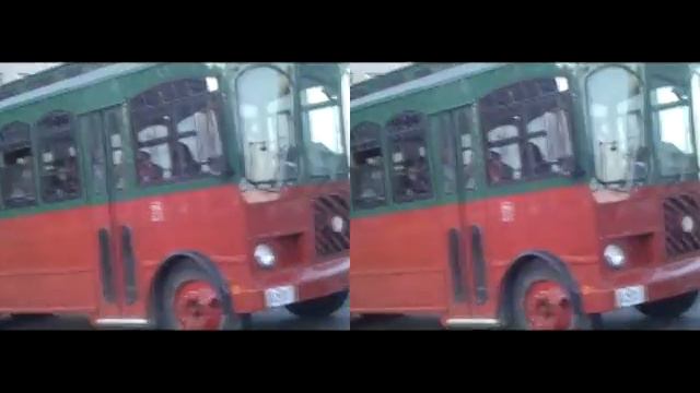 !!Baby Nelson!! Babynelsonary.com