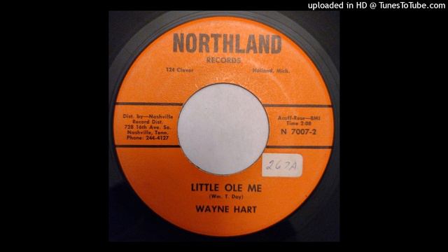 Wayne Hart - Little Ole Me / Make Believe Love [Northland, Holland, Michigan, Country]