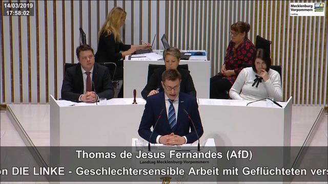 Thomas De Jesus Fernandes: Gendern Mit Flüchtlingen: Gaga-Antrag  Der Linken!