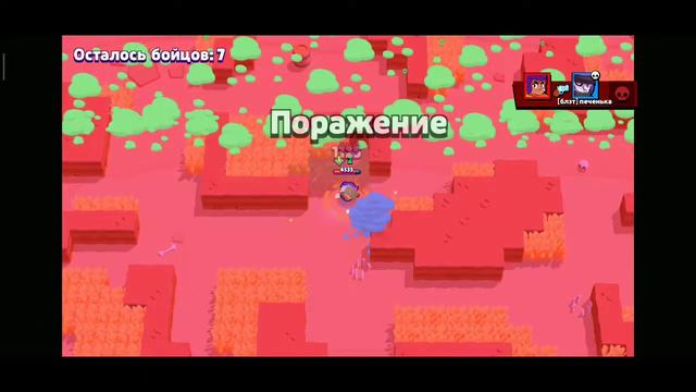 Апаю тику 14 р