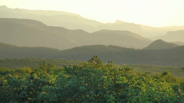 Rafael Figueroa En Álamos