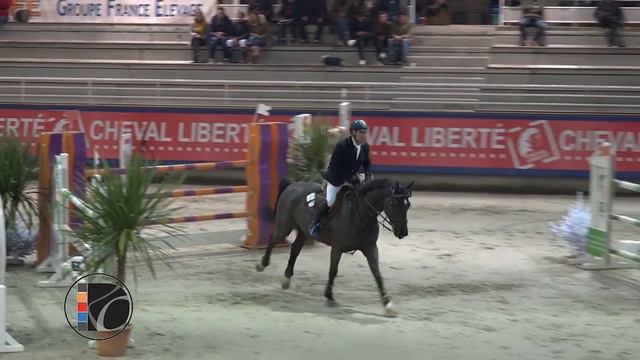 Black'n Roll   CSI Grand Prix 135   Saint Lo AEC 2018