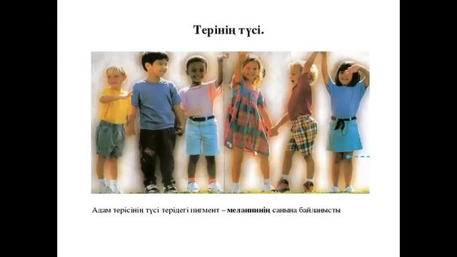 Есік гуманитарлық-экономикалық колледжі.Нуркиясова Э.Тері құрылысы мен қызметі.Тері гигиенасы