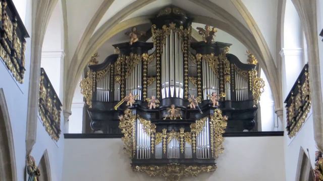 Georg Muffat: Passacaglia (aus: Apparatus Musico-organisticus)