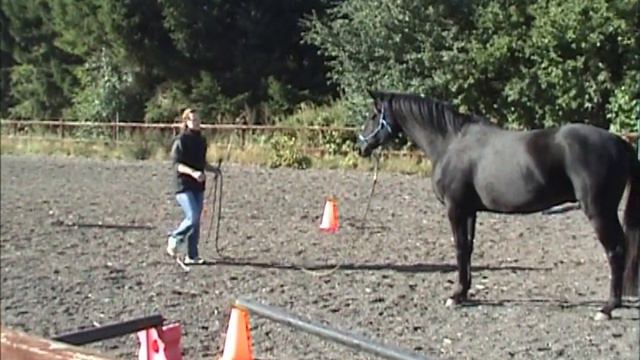 Sanne & Matrix Pass Level 2 Online