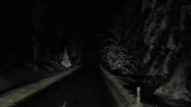 Nächtlicher Harzer Winterwald 2010