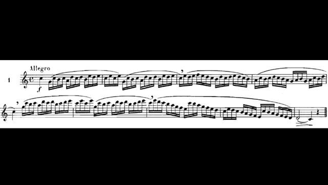 Marcel Moyse,100 EASY AND Progressive Studies After Cramer , For The Flute NO 1