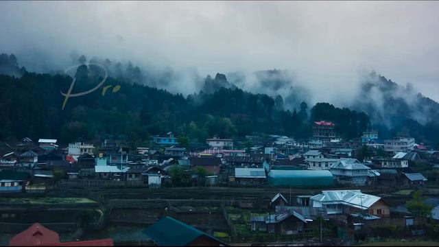 Apna Bana Le Piya Whatsapp Status | Bhediya Movie Song Status | Arijit Singh Song Status | Love Son