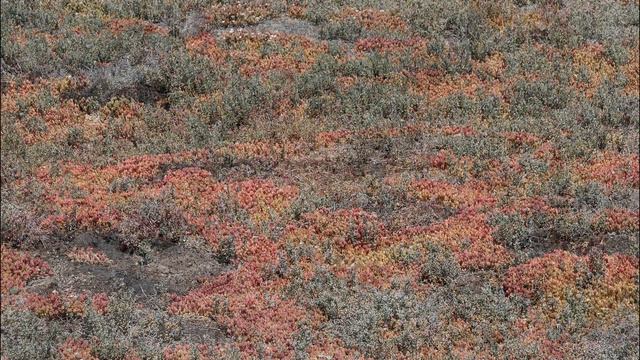 Kevin Kern : Paper Clouds