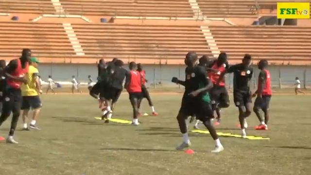 Deuxième Séance D'entraînement Des Lions À Madagascar