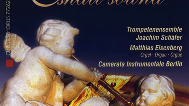 Trumpet Sonata In D Major, Z. 850 (arr. J. Schafer) : II. Andante Maestoso