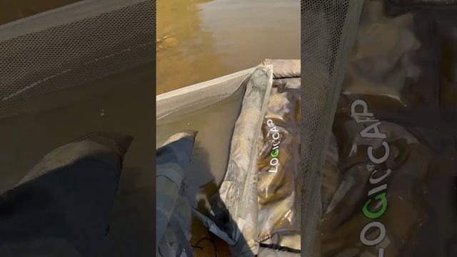 11a112136c7877b674367dc5de26f0a1