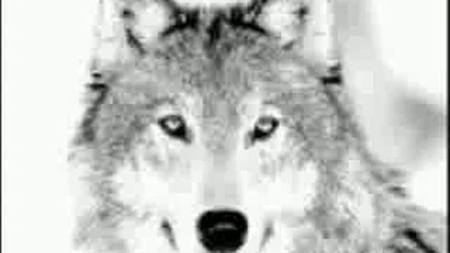 Ο ΤΕΚΕΣ-ΜΟΥΣΙΚΕΣ ΤΑΞΙΑΡΧΙΕΣ.mp4