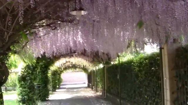 BRESCIA 2017 MERAVIGLIE   DAL    MONDO