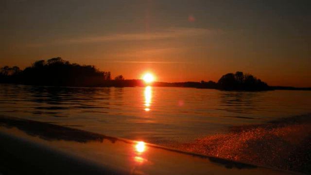 Miss These Days - John Cusack (Song)