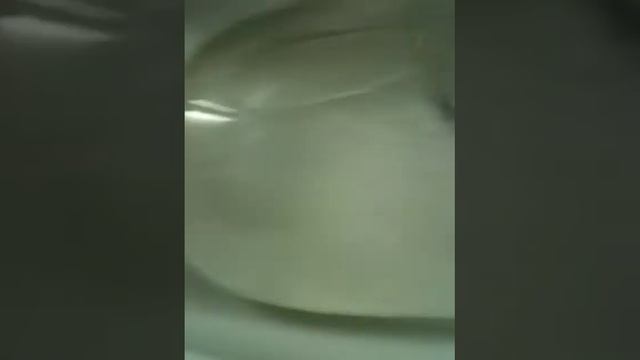 Me And Max Are Filling A Condom With Water, Damn It´s Big :D