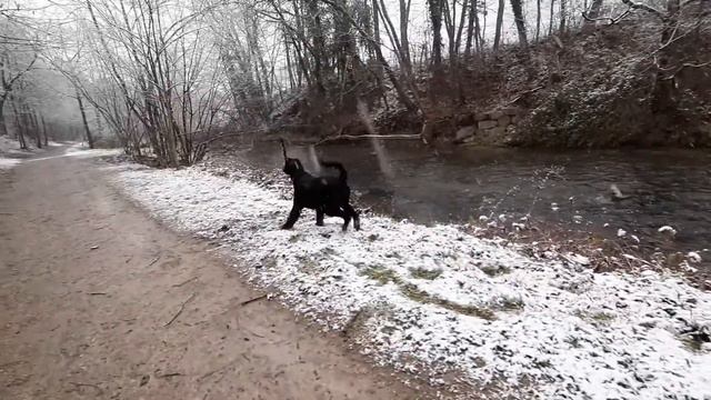 Magic Baselbiet - 2020 Uferweg