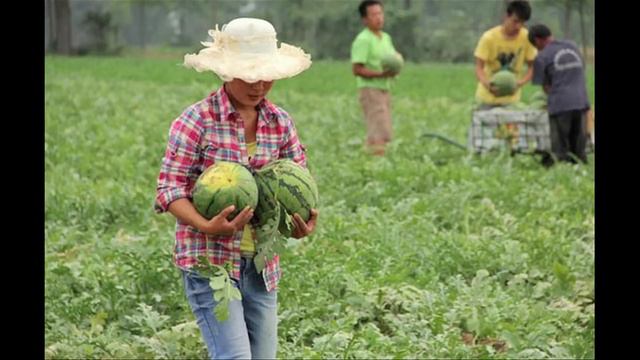 Lenny Laks  -  All Pink Inside