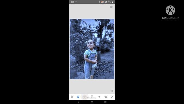 New Snapseed Bluetone Effect ||snapseed Edit|in Malayalam