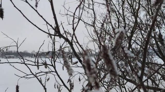 VID 20221216 100648 Счастье (Уберто Саба)...Павел Васильев Лахтинский