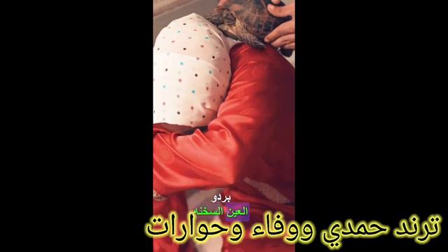 #يوميات_حمدى_ووفاء# تيك توك حمدي وفاءtik Tuk Hamdi Wafa'