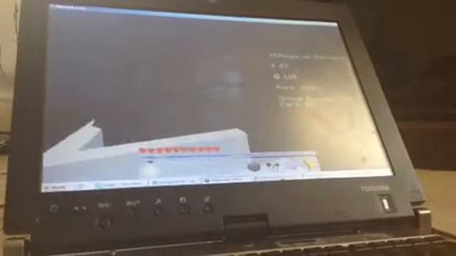 Sass At Disney World-Expedition Everest