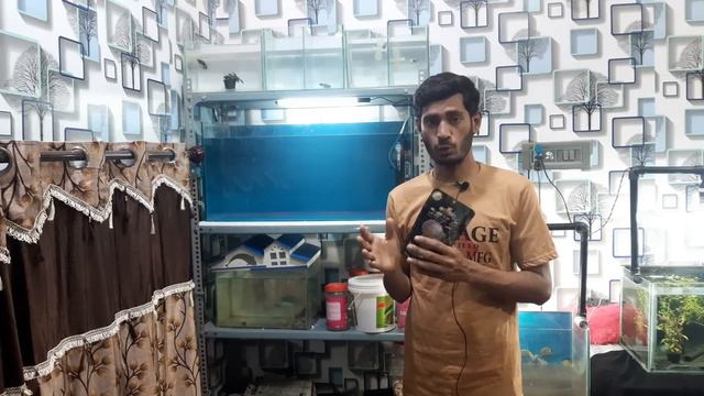 D3e92ef47d000589bc240086fdd629d7