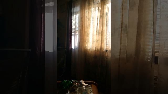 VID 20201222 134431: Channeled Message : Divine Stupidity