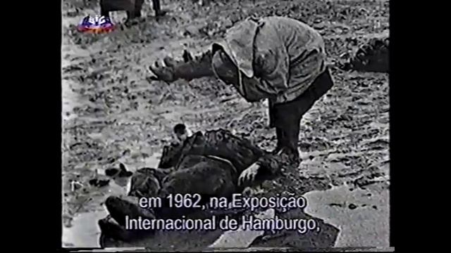 100fseculo 058 Infortúnio Na Crimeia, The Grief, Dmitri Baltermants, 1942 5' 25''