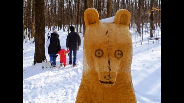 Košickým Zvieracím Chodníčkom