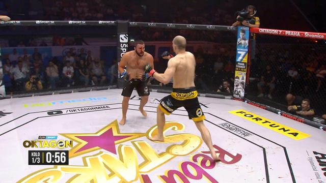 OKTAGON 6: Pavol Langer Vs. Viaceslav Ivashchuk