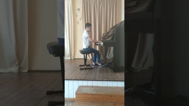 Гомечко Тімур, учень 5класу  Вишківської ШМ., Н.Нижанківський 