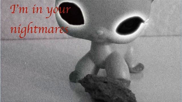 Ntm Entry For Lps Shimmer Star