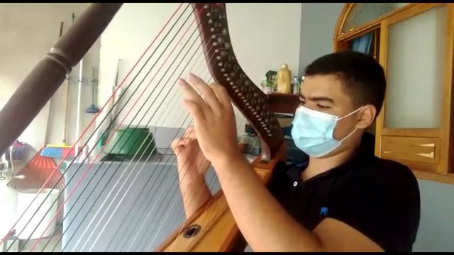 Estudiante Camilo Ortega De La Modalidad De Arpa Llanera.