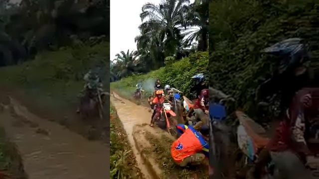 84b4532fcd0bdcb1f776719e44592789